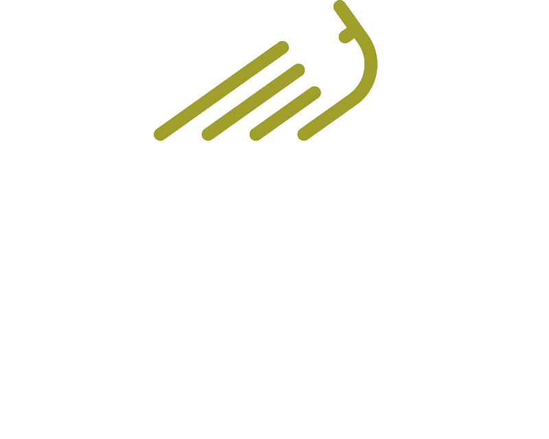 ufi